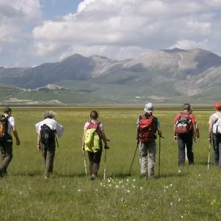 Al Respiro Nel Bosco *